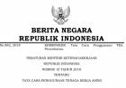 PERATURAN MENTERI KETENAGAKERJAAN REPUBLIK INDONESIA NOMOR 10 TAHUN 2018 TENTANG TATA CARA PENGGUNAAN TENAGA KERJA ASING