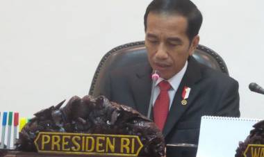 Jokowi Minta Ikatan Notaris Dukung Percepatan Investasi